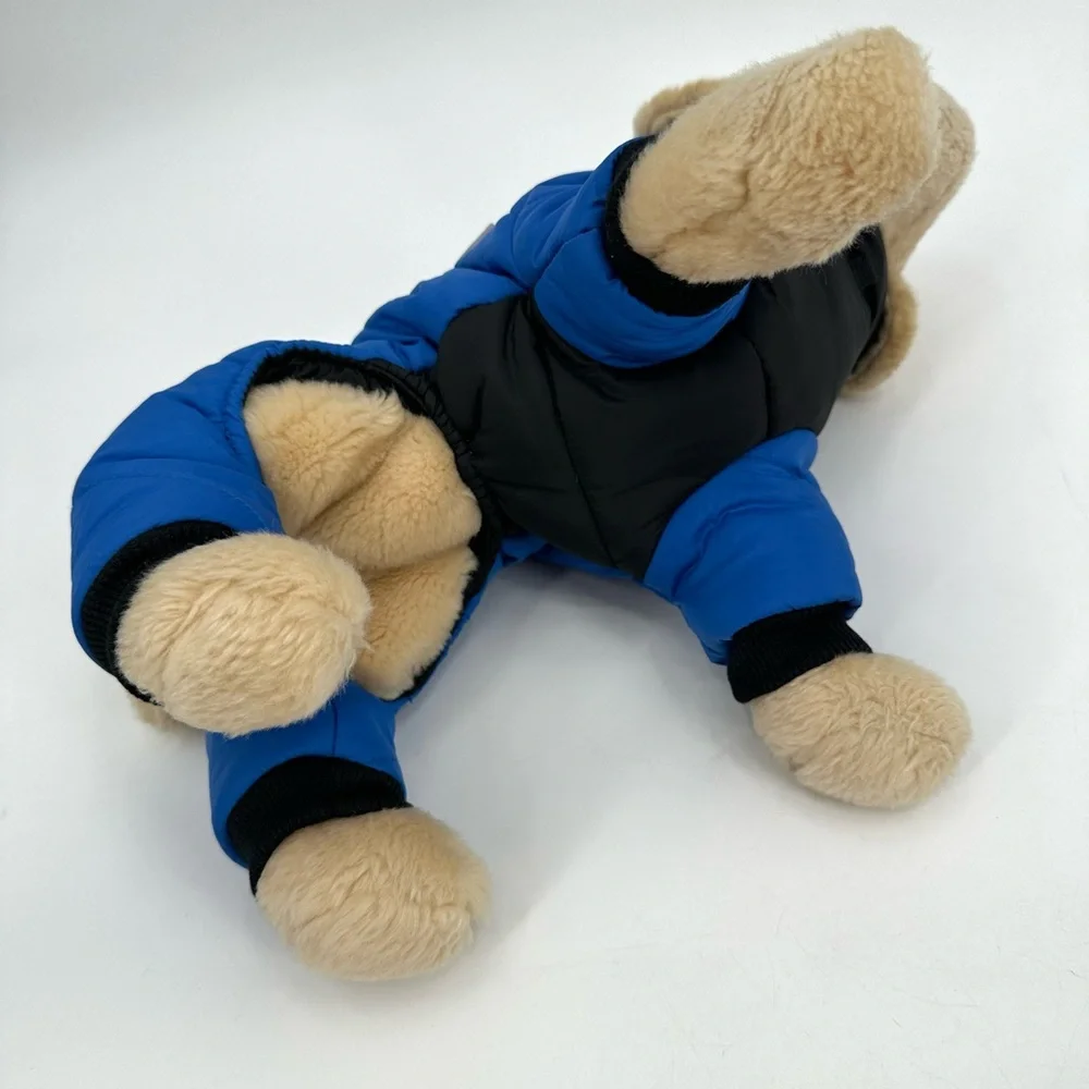 duomm brand dog